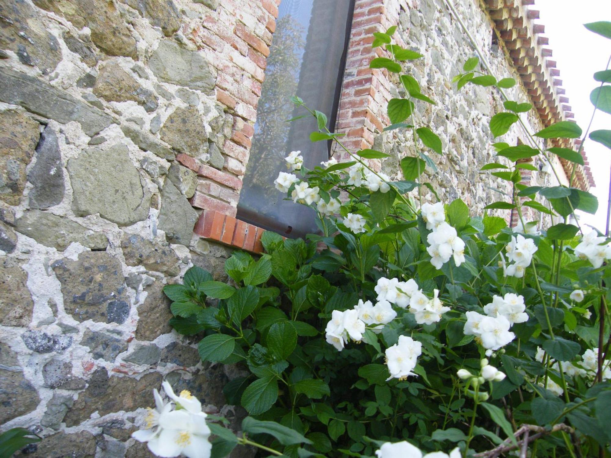 Agriturismo Il Giglio Oristano Exterior photo