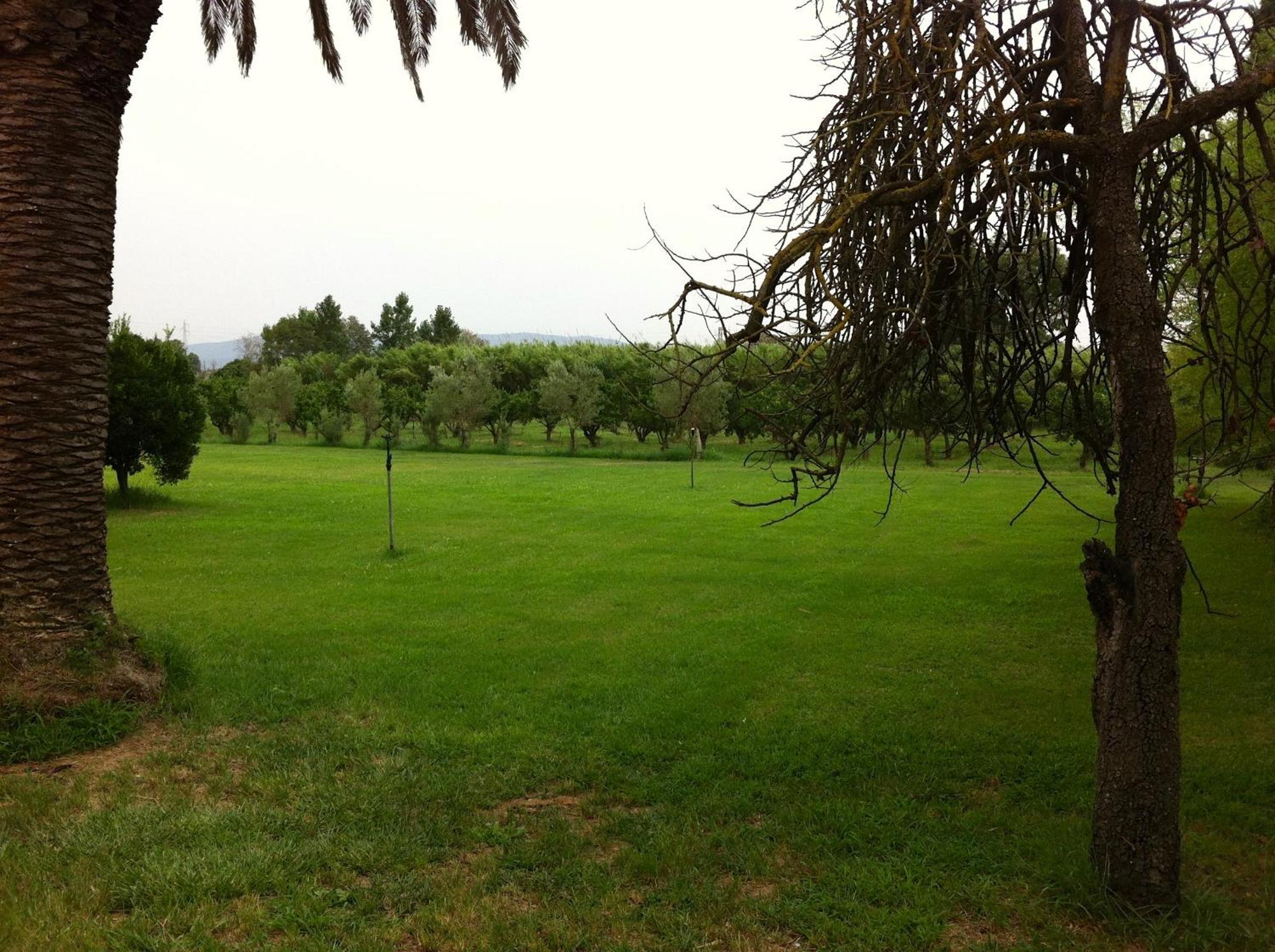 Agriturismo Il Giglio Oristano Exterior photo